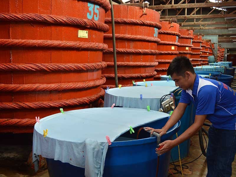  Nhà thùng nước mắm Nam Ngư tiêu chuẩn quốc tế